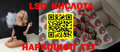 бошки Краснодар