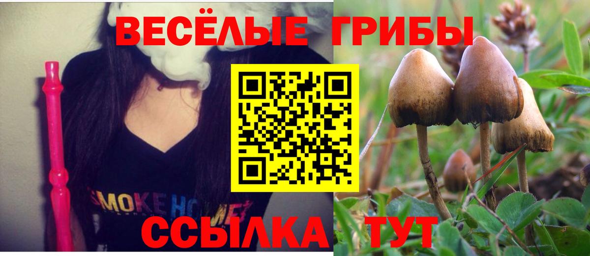 Псилоцибиновые грибы ЛСД  Вход с VPN  Королёв 